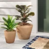 Earthenware Weathered Indoor/Outdoor Planter Pot - Threshold™ Designed With Studio McGee -Sunnydaze Store GUEST e8535bcb 0331 4acc 8d5c 2c4ed39d2fd4