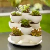 The HC Companies 8 Inch Round Stacking Decorative Indoor Pixie Succulent Flower Planter Pot With 3 Planting Levels, Vanilla Bisque -Sunnydaze Store GUEST eeb67e5a 8bc8 4998 8082 3735ba9ba017