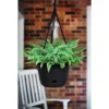 Bloem 13" Wide Lucca Self Watering Hanging Basket -Sunnydaze Store GUEST f1fed27f db3b 45b8 b06a 686385e0177b