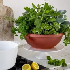 The HC Companies GAB18000E21C006LRTOX 18 Inch Sun Fade And Crack Resisting Leakproof Resin Plain Semi Circular Garden Bowl Planter, Chocolate Brown -Sunnydaze Store GUEST f2a7bacb e356 4812 ae66 74d4373e3bf6