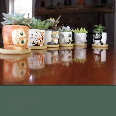 Window Garden Cat Planter Pot Set - 6 Mini 3" Succulent Kitty Pots 4 Window Garden Cat Planter Pot Set - 6 Mini 3" Succulent Kitty Pots - Image 2