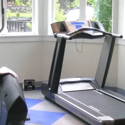 2pk Transonic Bug Chaser - Bird-X