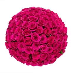 Fresh Cut 100-stem Hot Pink Rose Bouquet