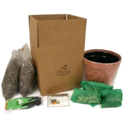 Van Zyverden 40ct Bulbs Multicolored Harmony Spring Blooming Patio Planter Set -Sunnydaze Store GUEST f5286d19 e5c2 44ef b99c fcf48c3597ac