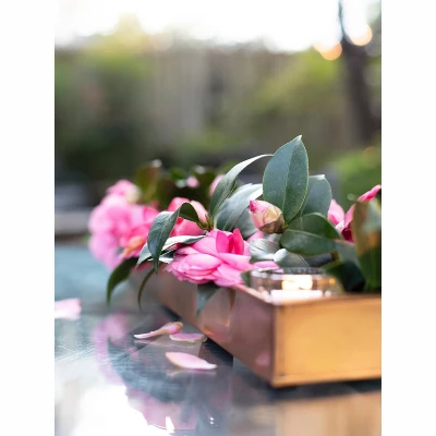 Gardener's Supply Company Rectangular Copper Plant Tray | 24" X 5" Leakproof Planting Pot For Houseplants & Succulents | Holiday Centerpiece Display 5 Gardener's Supply Company Rectangular Copper Plant Tray | 24" X 5" Leakproof Planting Pot For Houseplants & Succulents | Holiday Centerpiece Display - Image 3