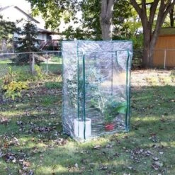 Sunnydaze Decor Sunnydaze Outdoor Deluxe Portable Large Potted Plant And Starter Tomato Plant Greenhouse With Roll-Up Door - Clear -Sunnydaze Store GUEST fdcce69e ea26 43fd 918f 901a8c046451