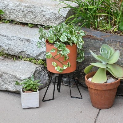 Sunnydaze Store -Sunnydaze Store GUEST 883507ac 4cd8 4708 8eb5 8ebc57365709