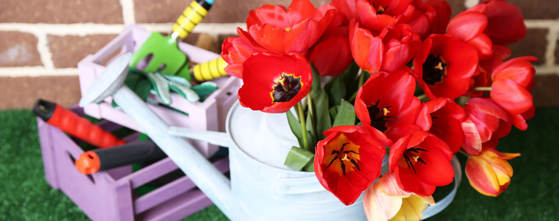 Sunnydaze Store -Sunnydaze Store homepageBannerMetadata Image 1742306524160